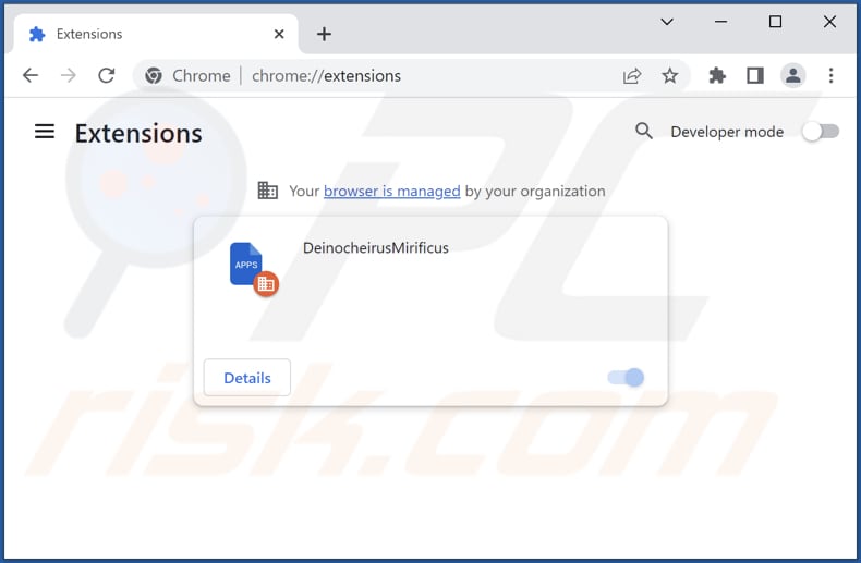 Removing DeinocheirusMirificus malicious extension from Google Chrome step 2