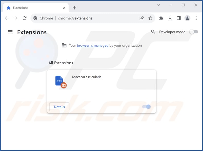 Removing MacacaFascicularis malicious extension from Google Chrome step 2