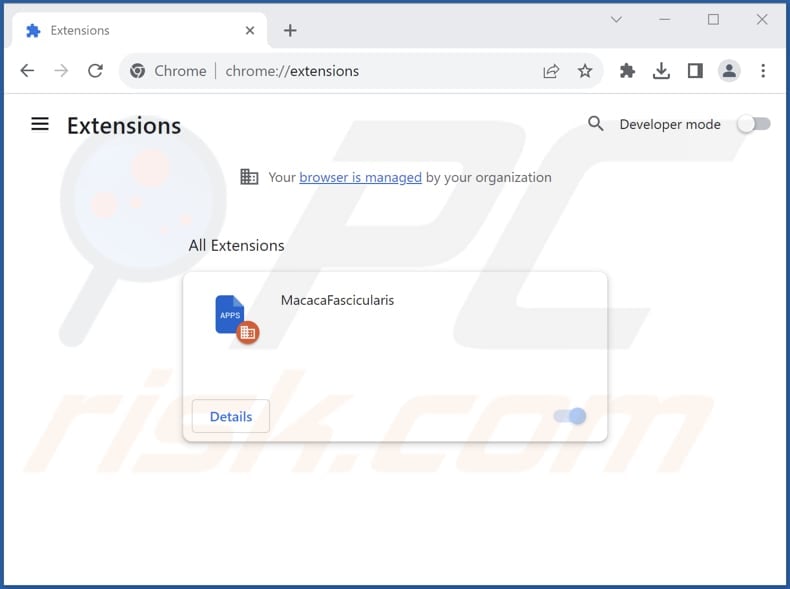 Removing MacacaFascicularis malicious extension from Google Chrome step 2