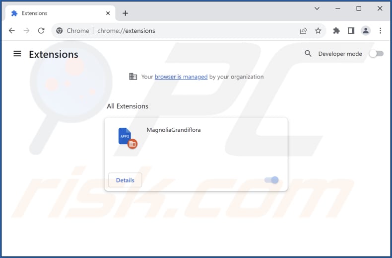 Removing MagnoliaGrandiflora malicious extension from Google Chrome step 2
