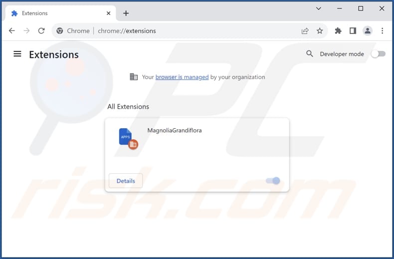 Removing MagnoliaGrandiflora malicious extension from Google Chrome step 2