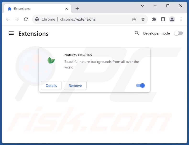 Removing natureynewtab.com related Google Chrome extensions