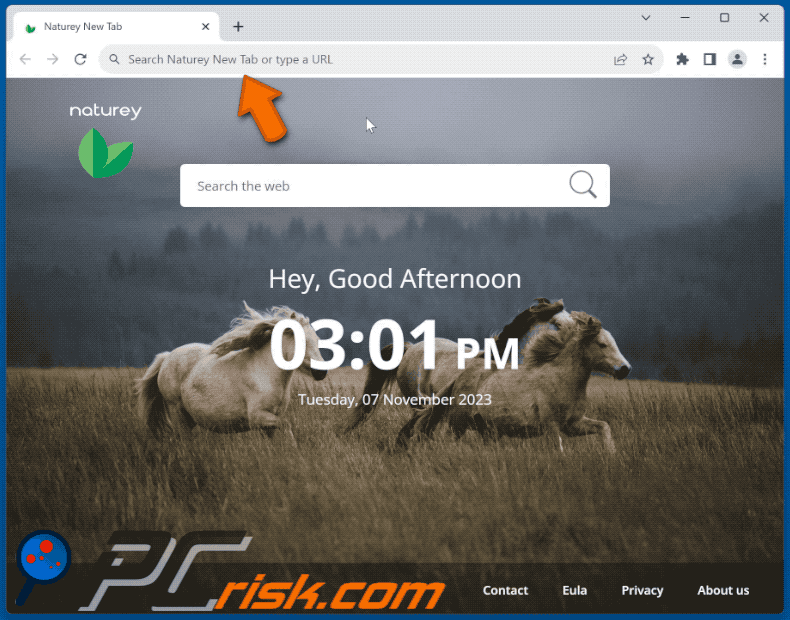 Naturey New Tab browser hijacker redirecting to Bing (GIF)