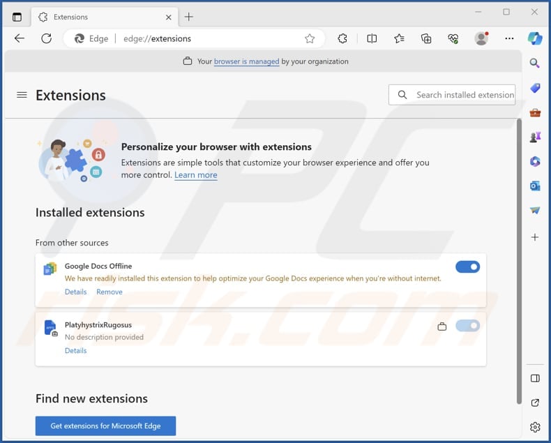 PlatyhystrixRugosus malicious extension on Edge browser