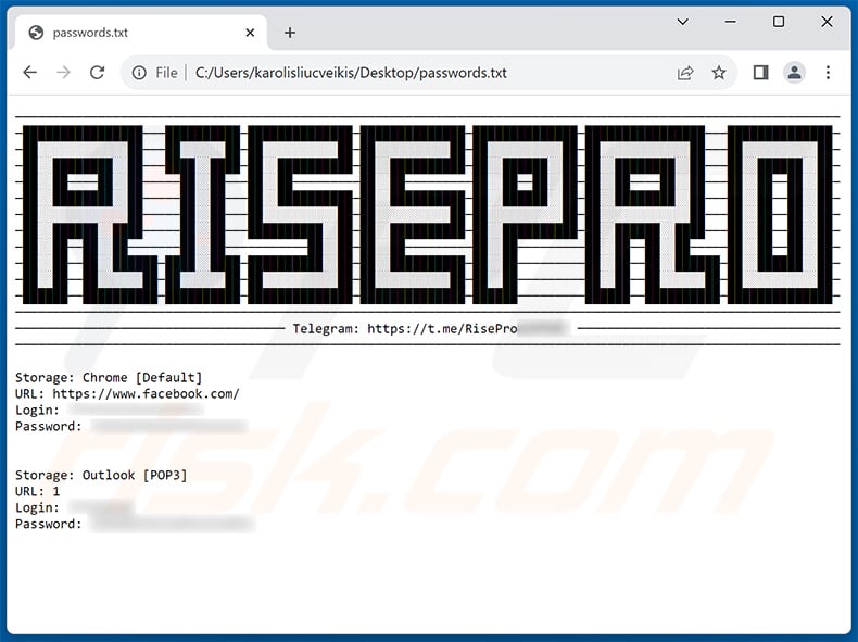 RisePro stealer passwords.txt