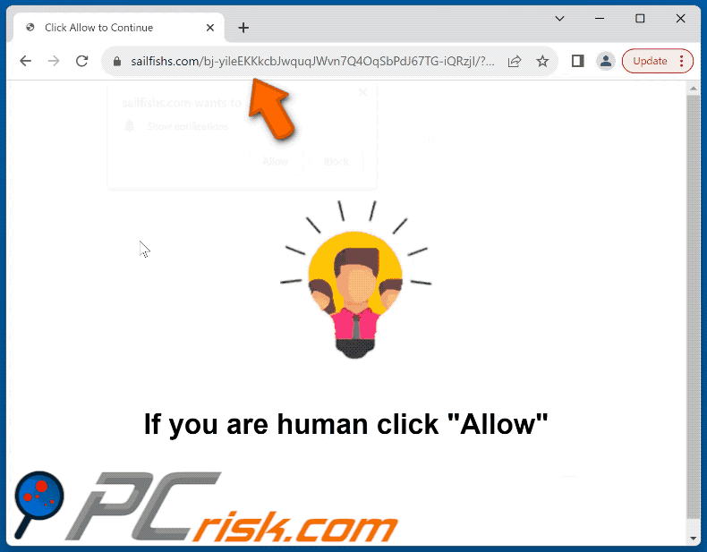 sailfishs[.]com website appearance (GIF)