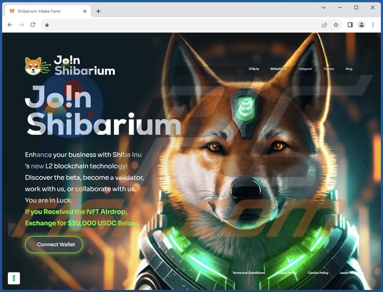 Shibarium scam deceptive page