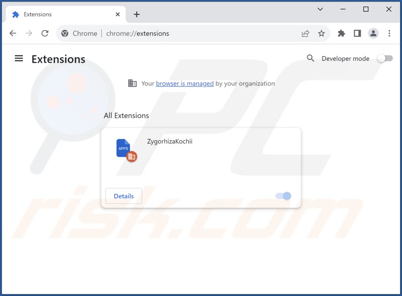 Removing ZygorhizaKochii malicious application from Google Chrome step 2