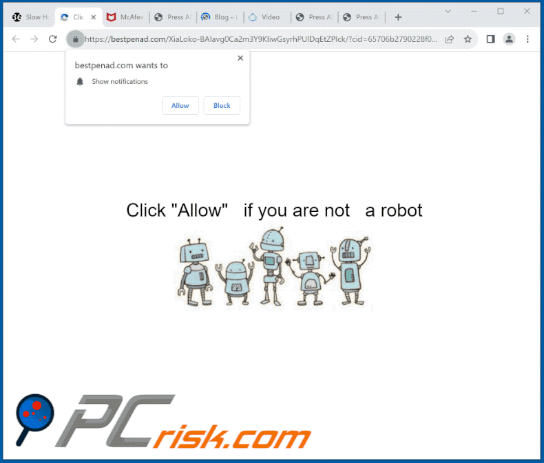 bestpenad[.]com website appearance (GIF)