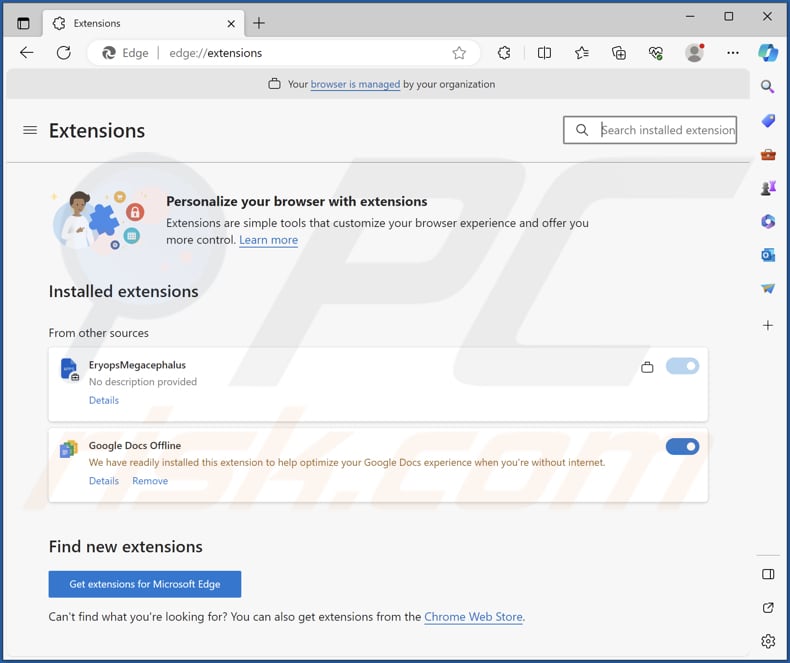 EryopsMegacephalus malicious extension on Edge