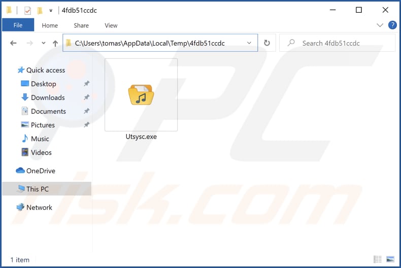 NAudion malware executable file
