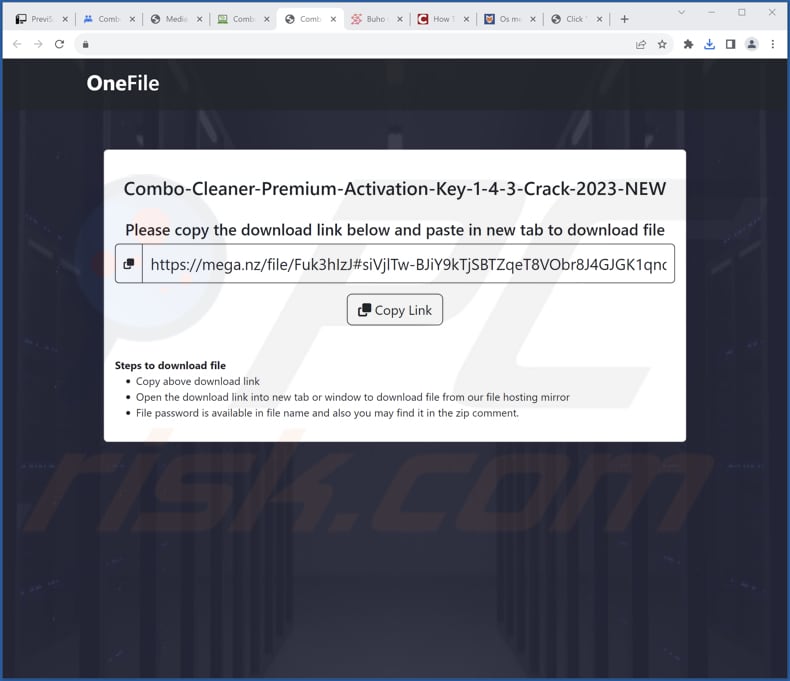 NAudio malware promoter
