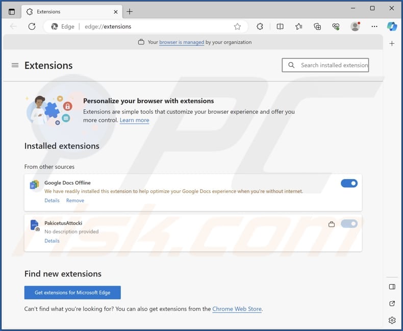 PakicetusAttocki malicious extension on Edge