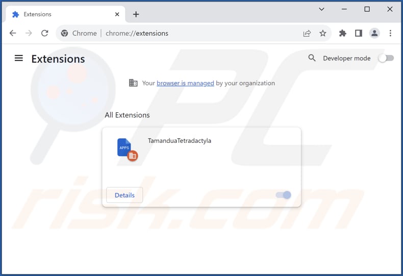 Removing TamanduaTetradactyla malicious extension from Google Chrome step 2