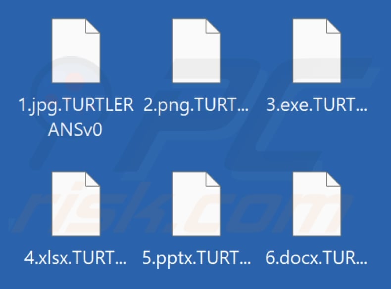 Files encrypted by Turtle ransomware (.TURTLERANSv0 extension)