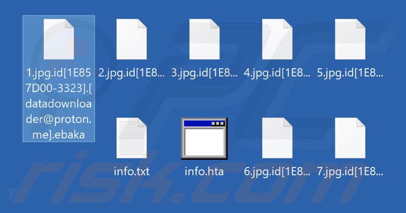 Files encrypted by Ebaka ransomware (.ebaka extension)