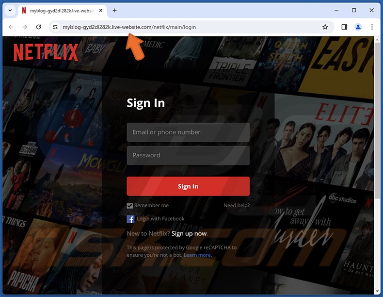 Netflix - Update Your Payment Details scam email promoted phishing site