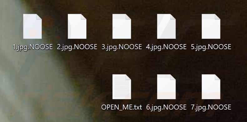Files encrypted by NOOSE ransomware (.NOOSE extension)
