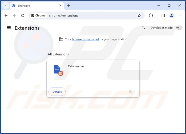 Removing Odobenidae malicious extension from Google Chrome step 2