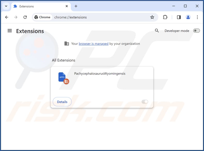 Removing PachycephalosaurusWyomingensis malicious extension from Google Chrome step 2