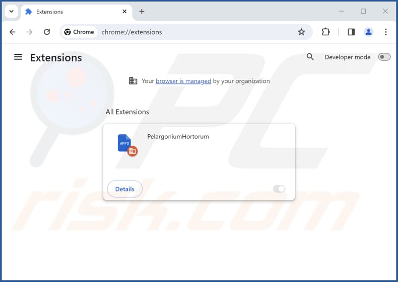 Removing PelargoniumHortorum malicious application from Google Chrome step 2