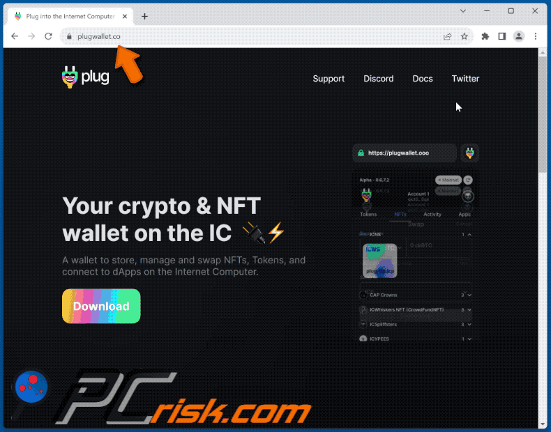 Appearance of Plug Wallet scam