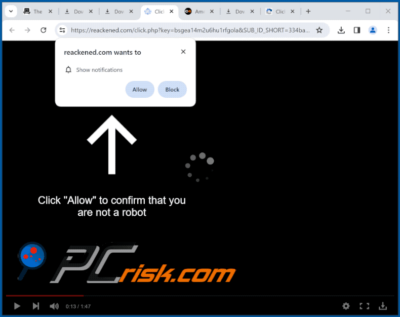 reackened[.]com website appearance (GIF)