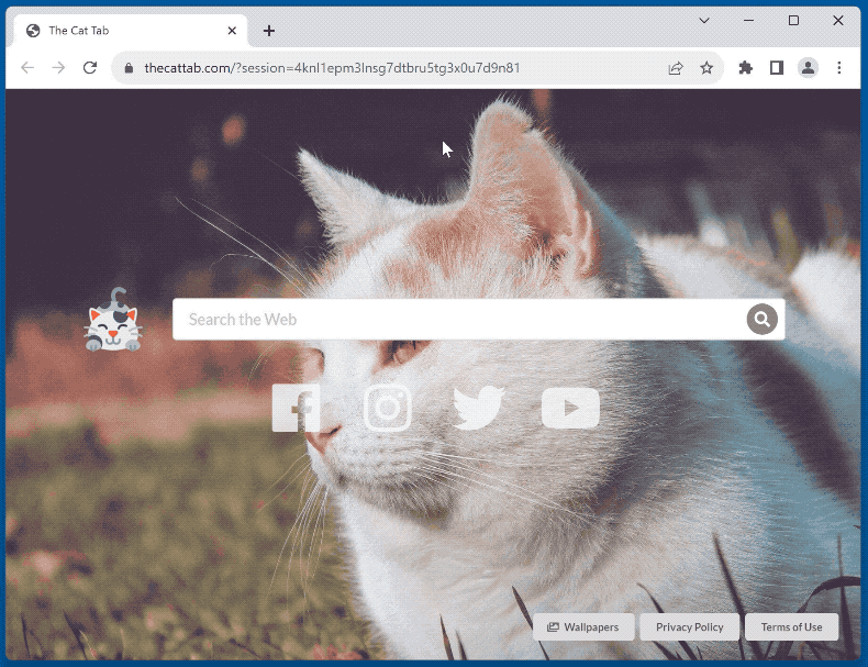 Cat Tab HD browser hijacker redirecting to Google (GIF)