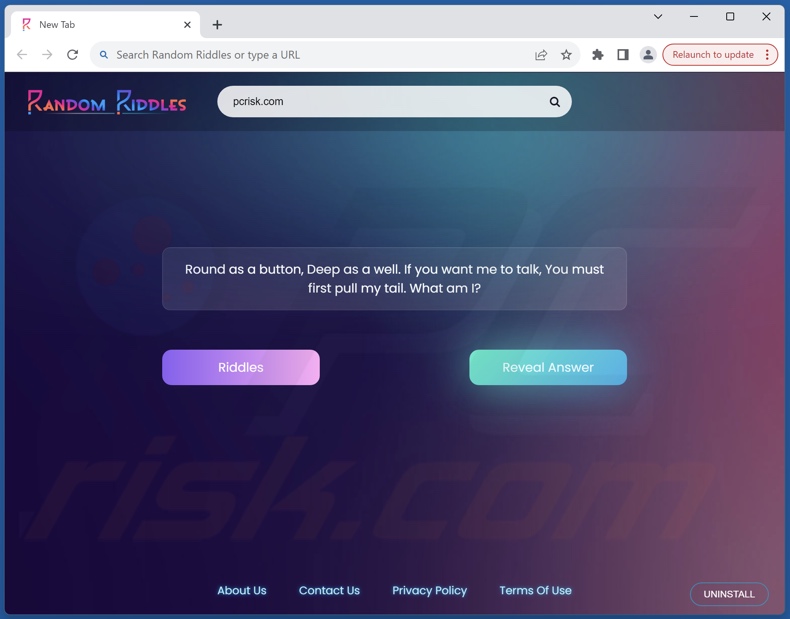 Random Riddles browser hijacker