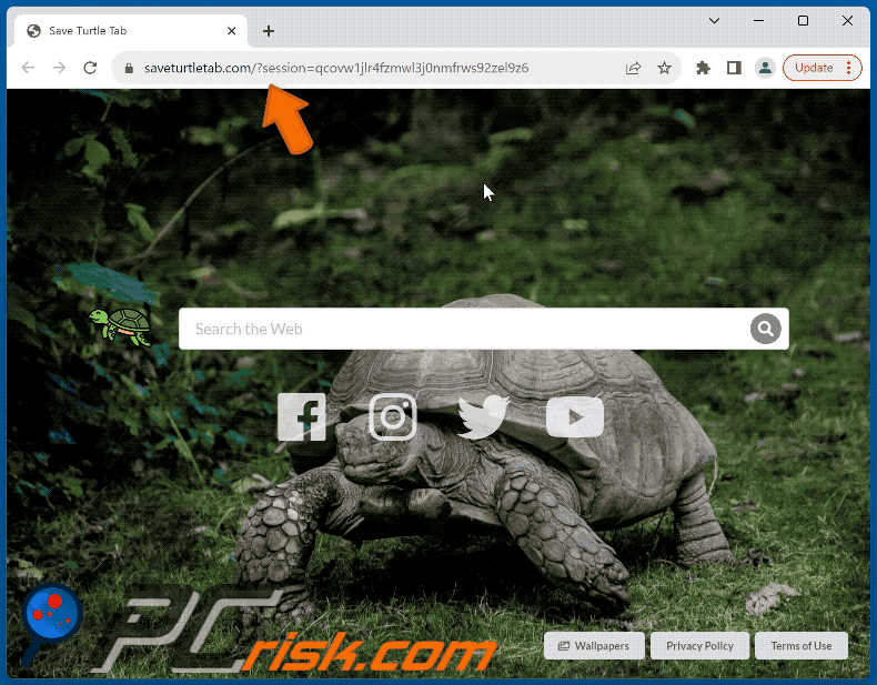 Save Turtle Tab browser hijacker saveturtletab.com redirects to google.com