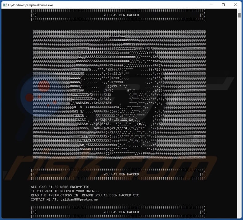 Taliban Skull ransomware ransom note (command prompt)