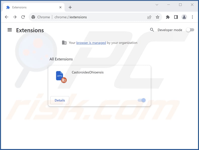 Removing CastoroidesOhioensis malicious extension from Google Chrome step 2