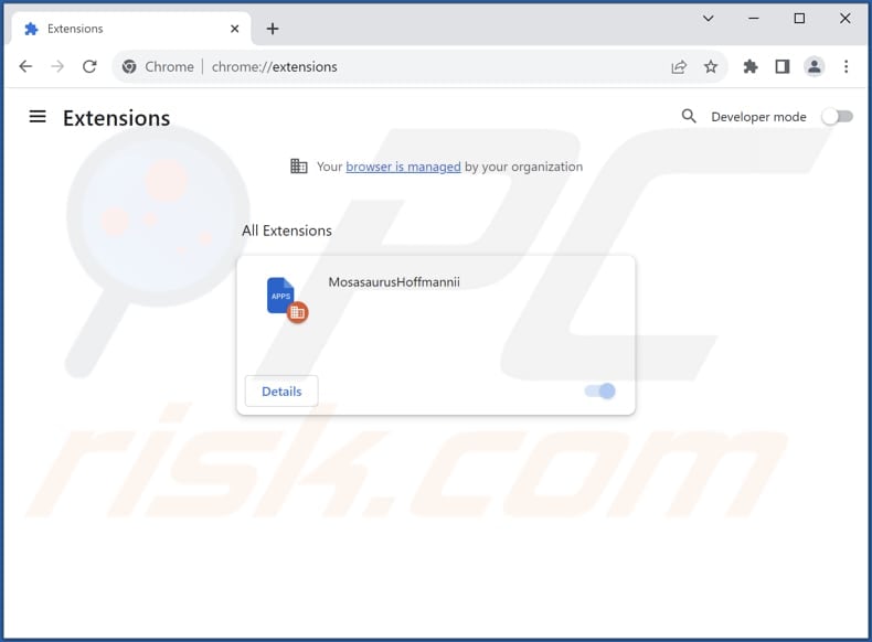 Removing MosasaurusHoffmannii malicious extension from Google Chrome step 2