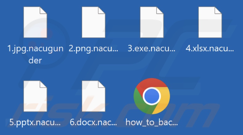 Files encrypted by Nacugunder ransomware (.nacugunder extension)