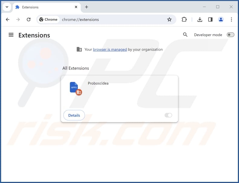 Removing Proboscidea malicious extension from Google Chrome step 2