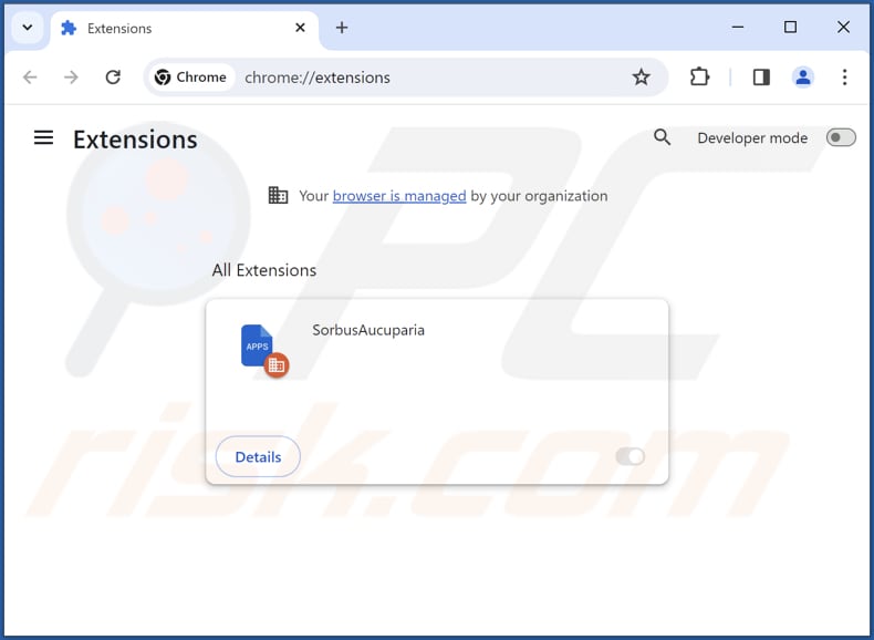 Removing SorbusAucuparia malicious extension from Google Chrome step 2