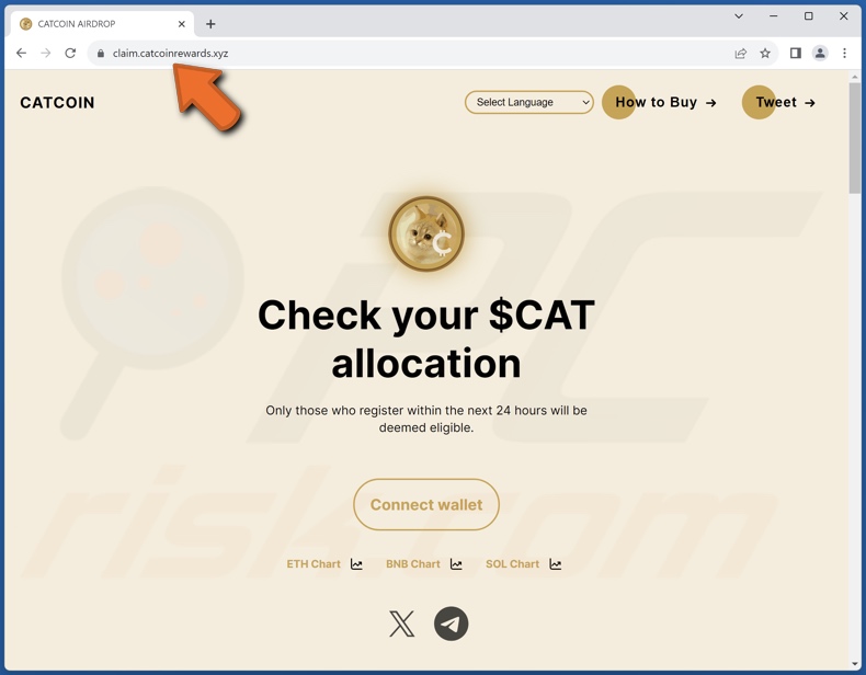 CATCOIN Allocation scam