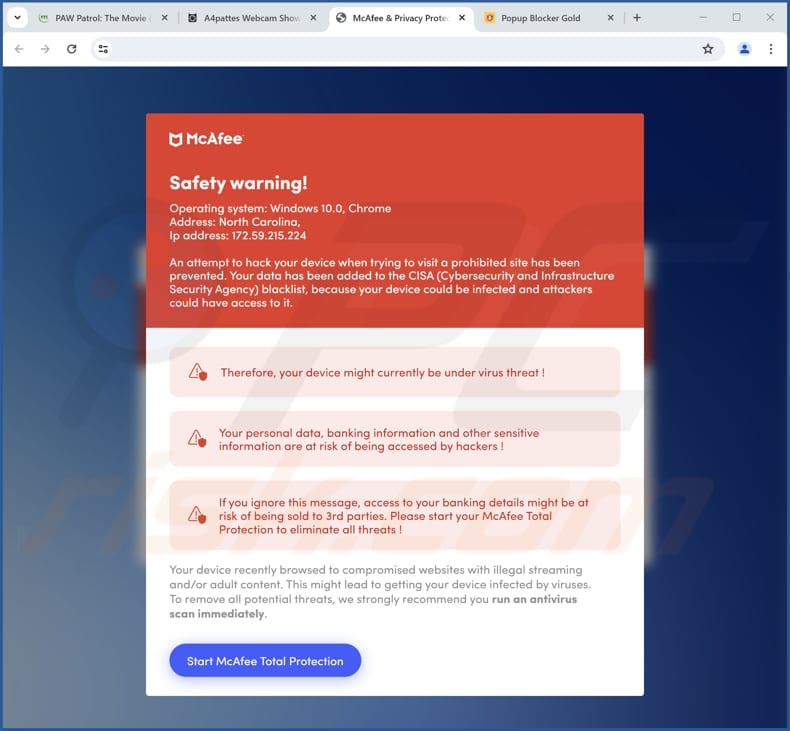 McAfee Safety Warning scam