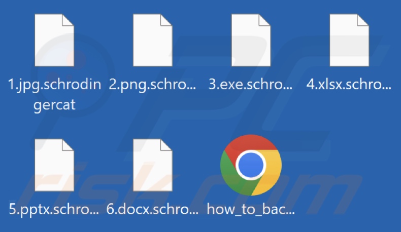 Files encrypted by SchrodingerCat ransomware (.schrodingercat extension)
