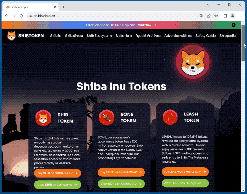 Appearance of Shiba Inu Tokens scam