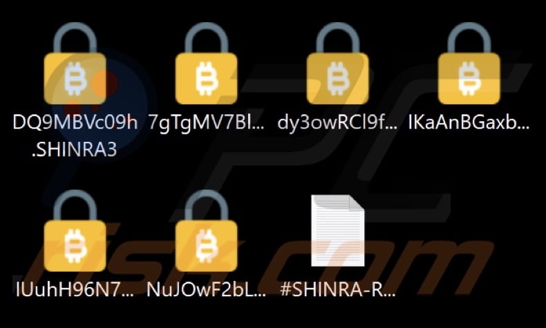 Files encrypted by SHINRA ransomware (.SHINRA3 extension)