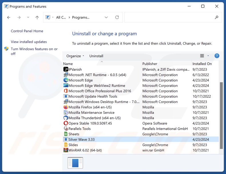 Silver Wave uninstall via Control Panel