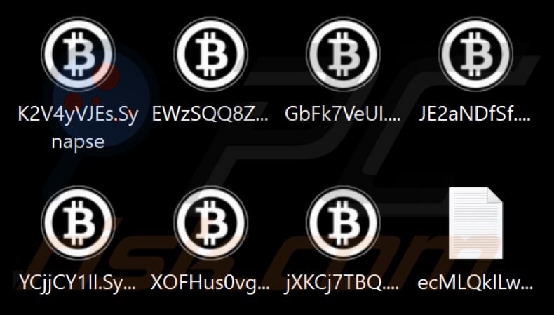 Files encrypted by Synapse ransomware (.Synapse extension)