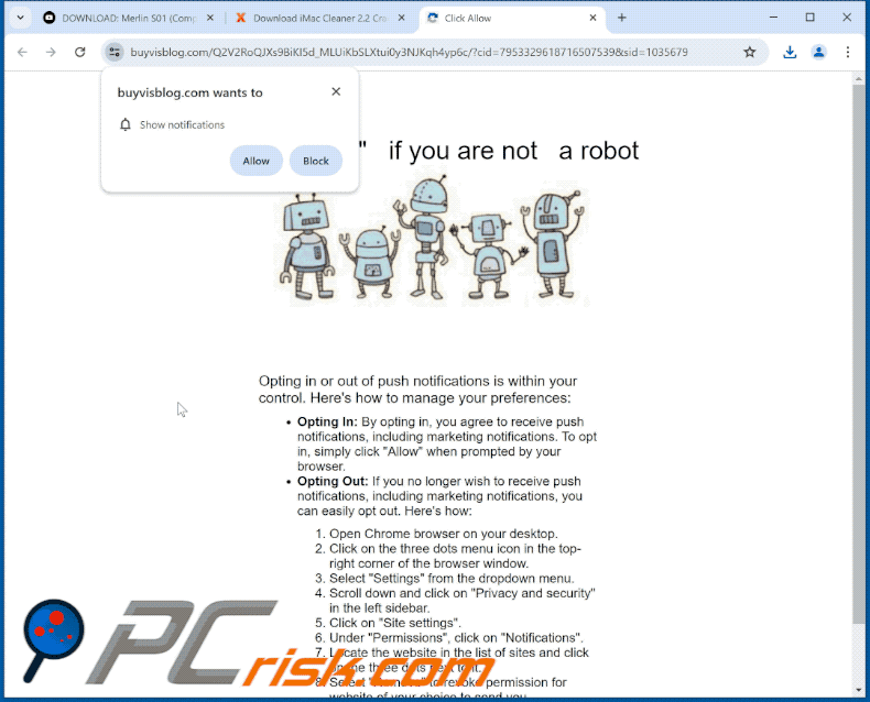 buyvisblog[.]com website appearance (GIF)