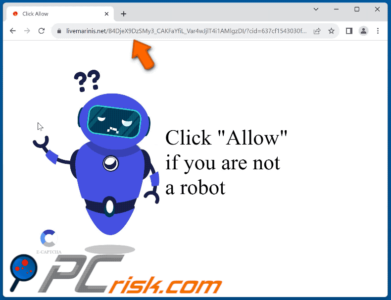 livemarinis[.]net website appearance (GIF)