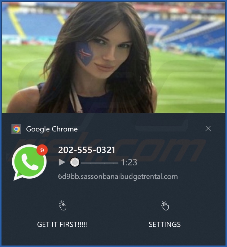 Ad delivered by the sassonbanaibudgetrental[.]com webpage