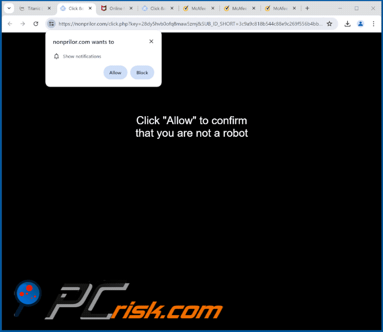 nonprilor[.]com website appearance (GIF)