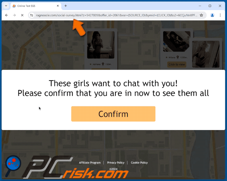 ragnoocie[.]com website appearance (GIF)