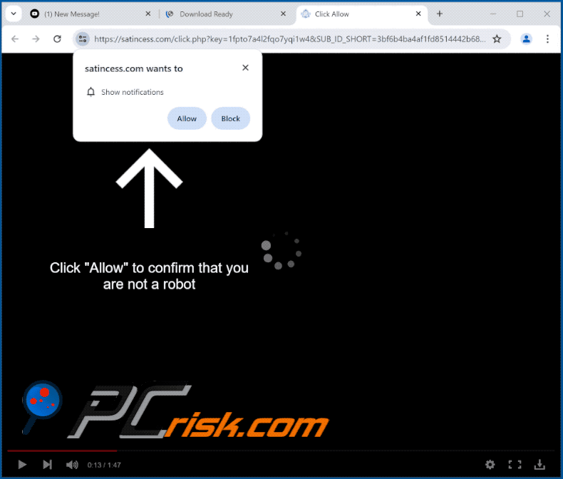 satincess[.]com website appearance (GIF)