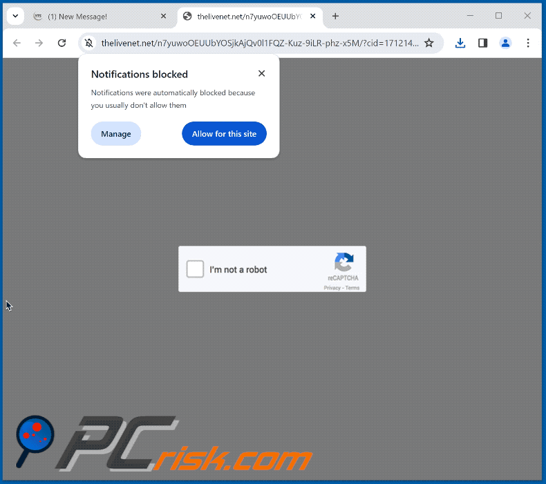 thelivenet[.]net website appearance (GIF)